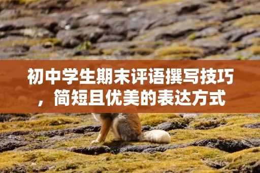 初中学生期末评语撰写技巧，简短且优美的表达方式