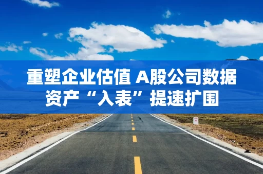 重塑企业估值 A股公司数据资产“入表”提速扩围