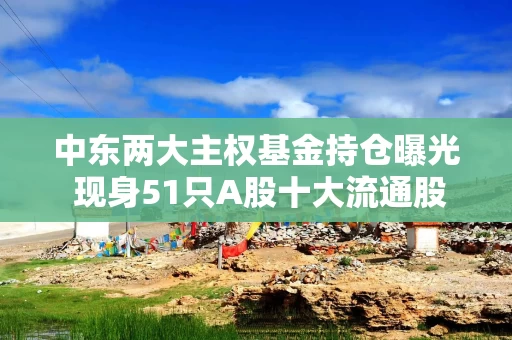 中东两大主权基金持仓曝光 现身51只A股十大流通股东名单