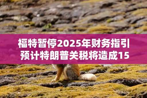 福特暂停2025年财务指引 预计特朗普关税将造成15亿美元影响