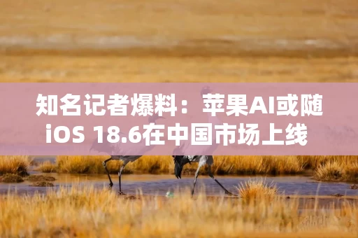 知名记者爆料：苹果AI或随iOS 18.6在中国市场上线 阿里巴巴、百度提供技术支持
