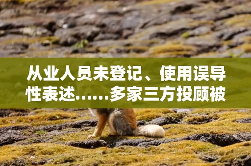 从业人员未登记、使用误导性表述……多家三方投顾被罚！