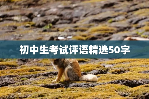 初中生考试评语精选50字