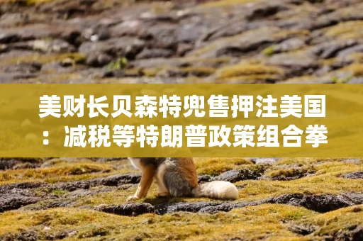 美财长贝森特兜售押注美国：减税等特朗普政策组合拳会吸引在美投资