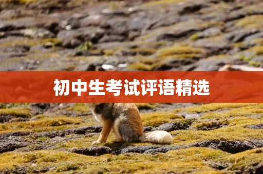 初中生考试评语精选