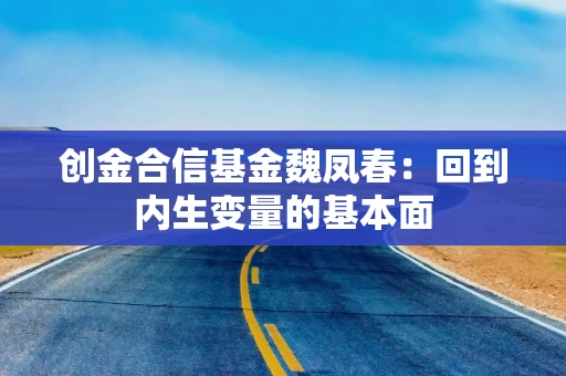 创金合信基金魏凤春：回到内生变量的基本面