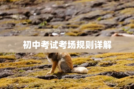 初中考试考场规则详解