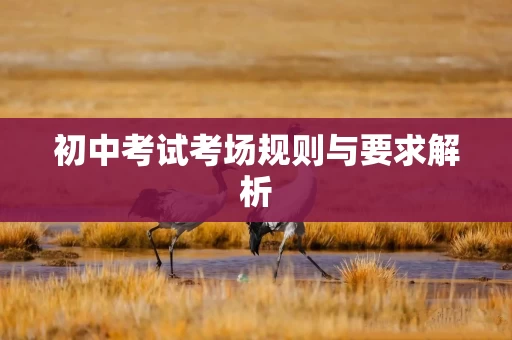 初中考试考场规则与要求解析