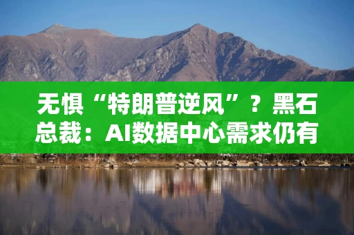 无惧“特朗普逆风”？黑石总裁：AI数据中心需求仍有大量增长空间！