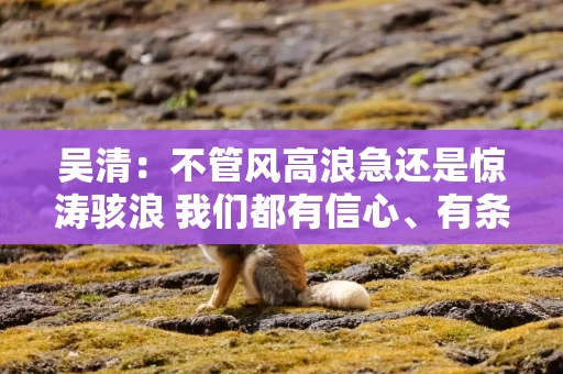 吴清：不管风高浪急还是惊涛骇浪 我们都有信心、有条件、有能力实现中国股市的稳定健康发展