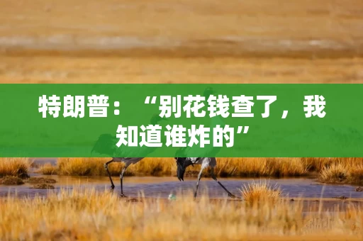 特朗普：“别花钱查了，我知道谁炸的”