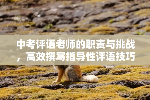 中考评语老师的职责与挑战，高效撰写指导性评语技巧