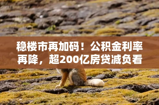 稳楼市再加码！公积金利率再降，超200亿房贷减负看得见