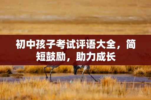 初中孩子考试评语大全，简短鼓励，助力成长