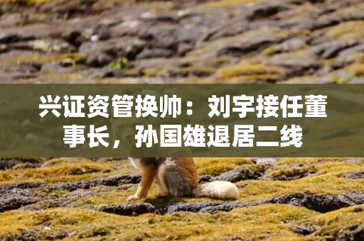 兴证资管换帅：刘宇接任董事长，孙国雄退居二线