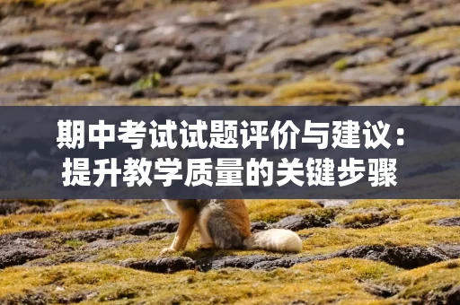 期中考试试题评价与建议：提升教学质量的关键步骤