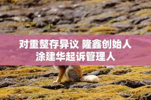 对重整存异议 隆鑫创始人涂建华起诉管理人