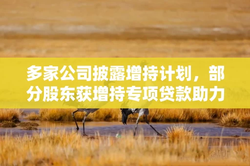 多家公司披露增持计划，部分股东获增持专项贷款助力