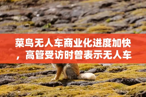 菜鸟无人车商业化进度加快，高管受访时曾表示无人车市场拐点将至