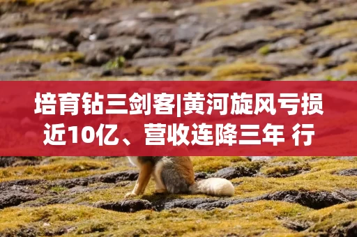 培育钻三剑客|黄河旋风亏损近10亿、营收连降三年 行业下行周期中的生存困局与战略迷失