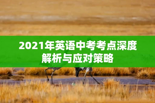 2021年英语中考考点深度解析与应对策略