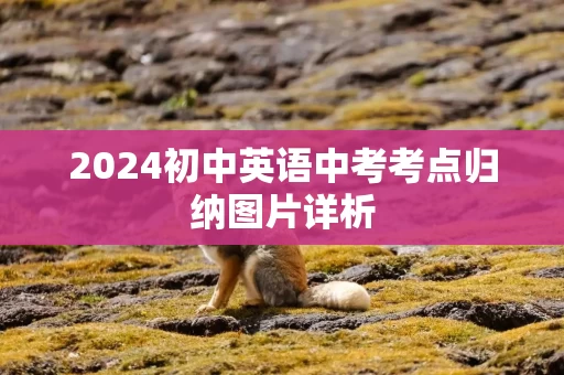 2024初中英语中考考点归纳图片详析