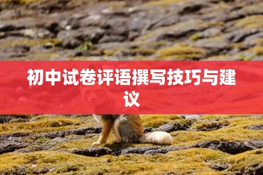 初中试卷评语撰写技巧与建议