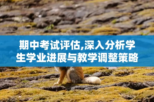 期中考试评估,深入分析学生学业进展与教学调整策略