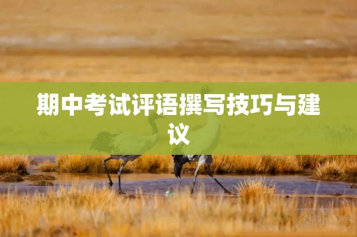 期中考试评语撰写技巧与建议