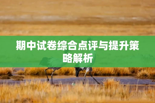 期中试卷综合点评与提升策略解析