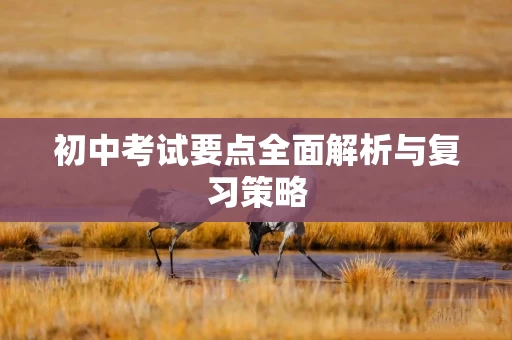 初中考试要点全面解析与复习策略