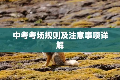 中考考场规则及注意事项详解