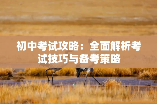 初中考试攻略：全面解析考试技巧与备考策略