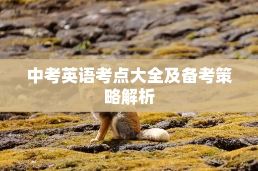 中考英语考点大全及备考策略解析