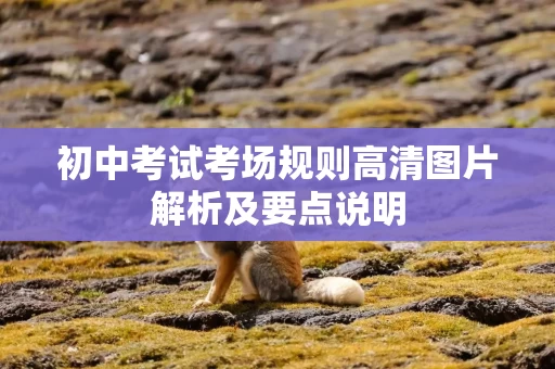 初中考试考场规则高清图片解析及要点说明