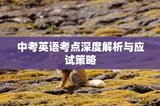中考英语考点深度解析与应试策略