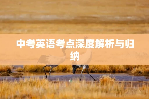 中考英语考点深度解析与归纳
