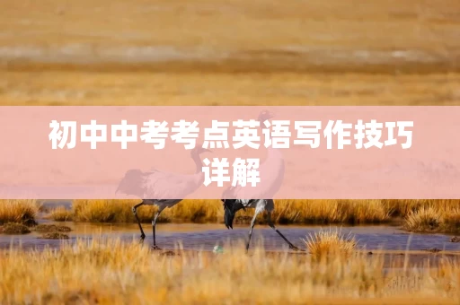 初中中考考点英语写作技巧详解