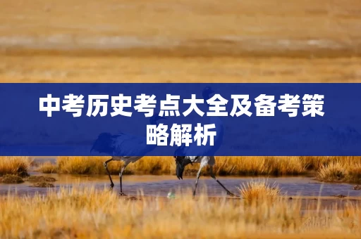中考历史考点大全及备考策略解析