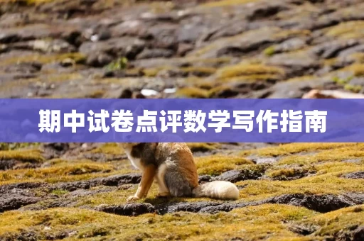 期中试卷点评数学写作指南
