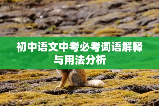 初中语文中考必考词语解释与用法分析