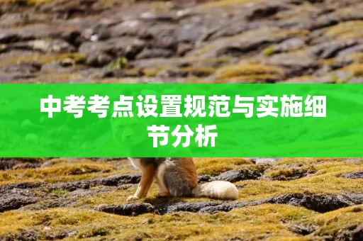 中考考点设置规范与实施细节分析