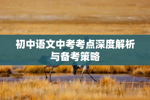 初中语文中考考点深度解析与备考策略