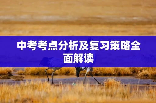 中考考点分析及复习策略全面解读