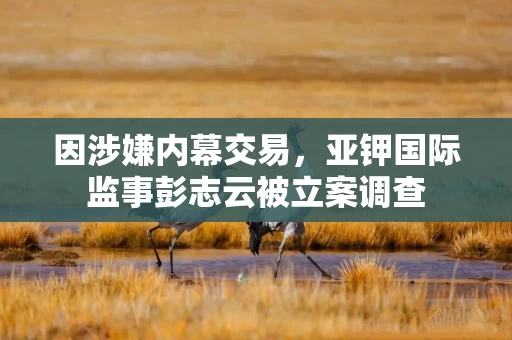 因涉嫌内幕交易，亚钾国际监事彭志云被立案调查