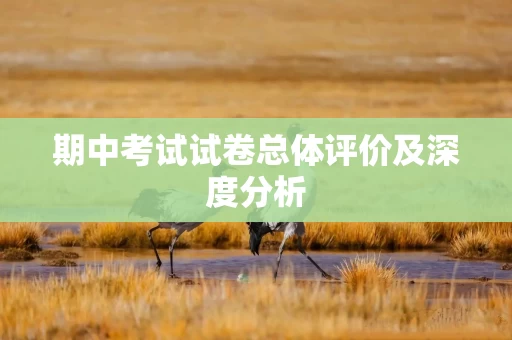 期中考试试卷总体评价及深度分析