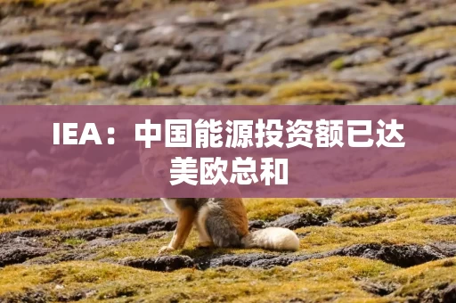 IEA：中国能源投资额已达美欧总和