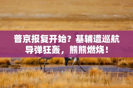 普京报复开始？基辅遭巡航导弹狂轰，熊熊燃烧！