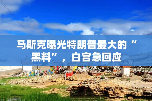 马斯克曝光特朗普最大的“黑料”，白宫急回应