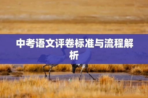 中考语文评卷标准与流程解析